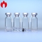 Fiole 2ml 3ml 5ml 10ml 20ml 30ml transparente ou d'Amber Medical Small Glass Bottle