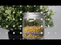 Haute bouteille en verre de Borosilicate